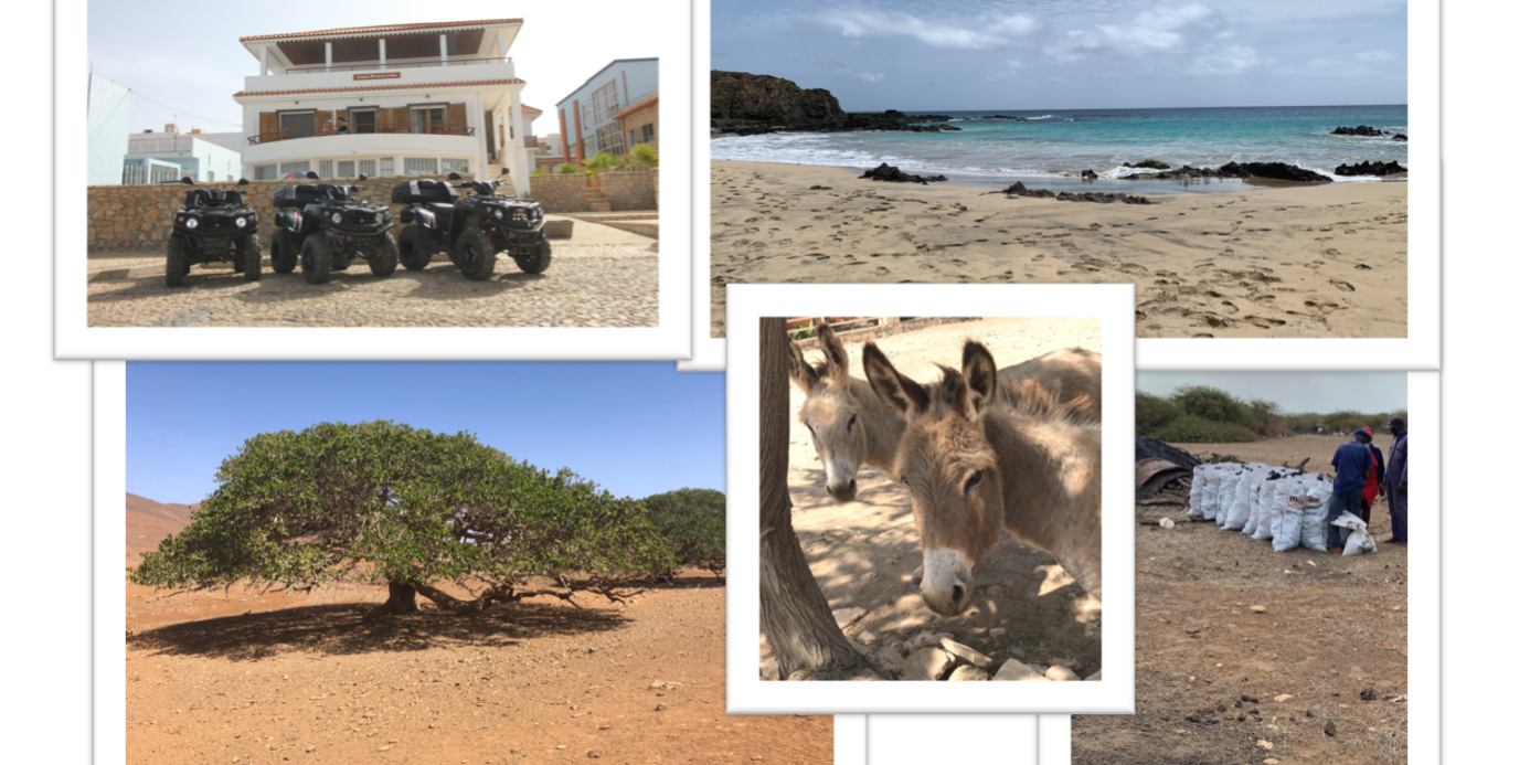 volta de ilha com moto quad casa evora